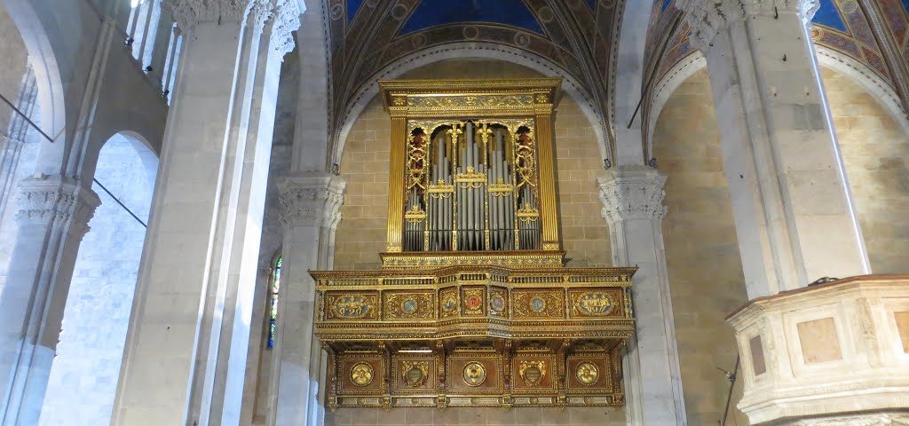 L’organo della Cattedrale